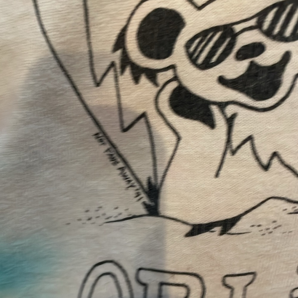Grateful Dead Spring Tour ‘91 Tie Dye T-Shirt - Picture 8 of 12
